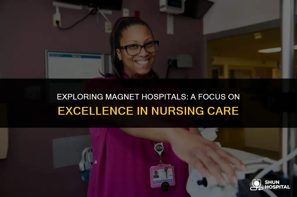 what is magnet hospital emphasis