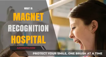 Understanding Magnet Recognition: What Makes a Hospital Stand Out?