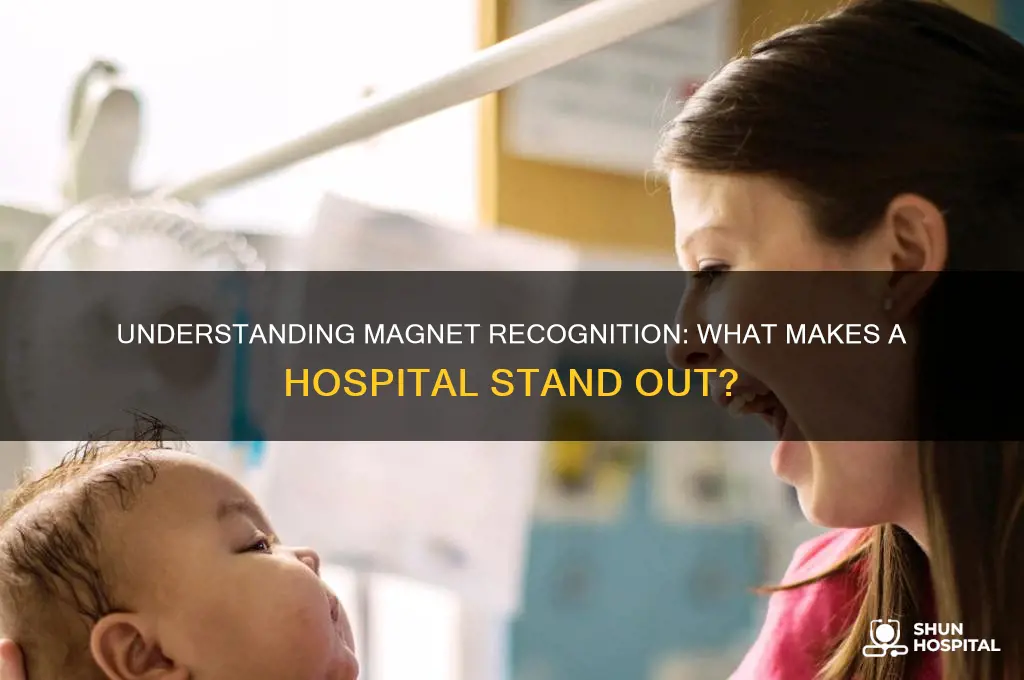 what is magnet recognition hospital