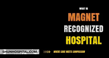 Understanding Magnet Recognition: A Guide to Top-Tier Hospitals