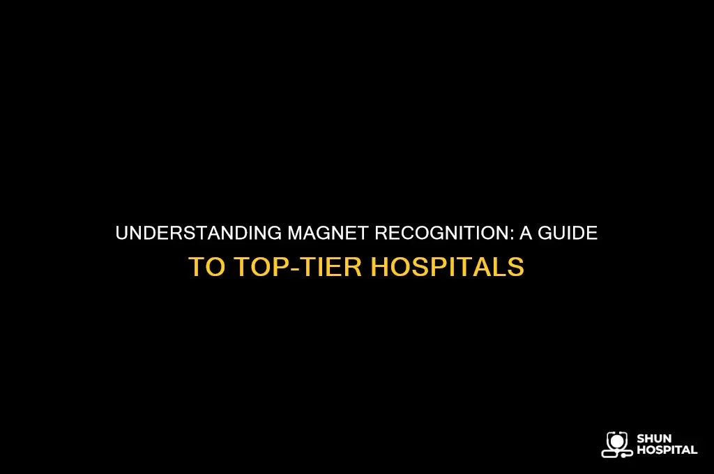 what is magnet recognized hospital