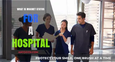Magnet Recognition: How Hospitals Achieve This Status