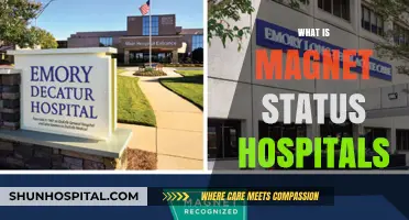 Understanding Magnet Status Hospitals: Excellence in Nursing and Patient Care