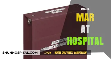 Understanding MAR: Medication Administration Records in Hospitals