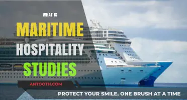 Exploring the Horizons: A Guide to Maritime Hospitality Studies