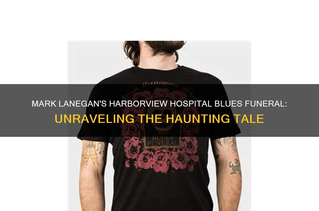what is mark lanegan harborview hospital blues funeral about