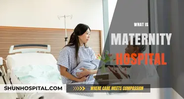 Understanding Maternity Hospitals: A Comprehensive Guide for Expectant Mothers