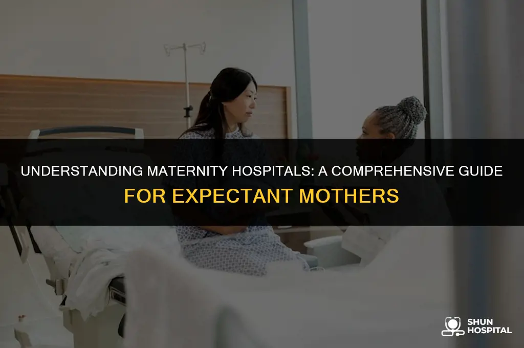 what is maternity hospital