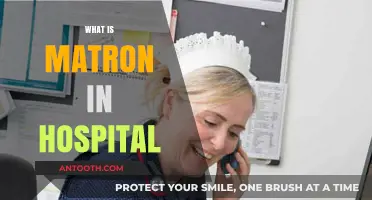 Understanding the Role of a Matron in Modern Hospitals