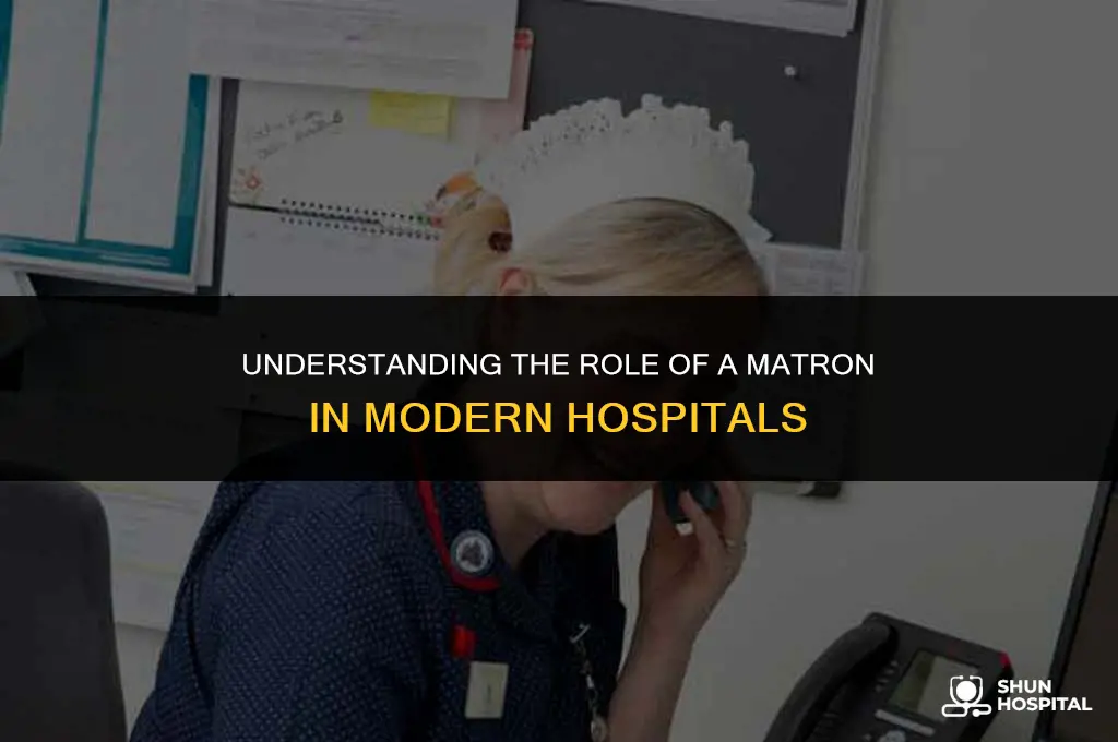 what is matron in hospital