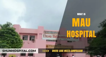 Exploring MAU Hospital: Services, History, and Community Impact