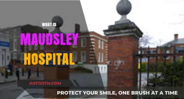 Exploring Maudsley Hospital: A Comprehensive Guide to Mental Health Care