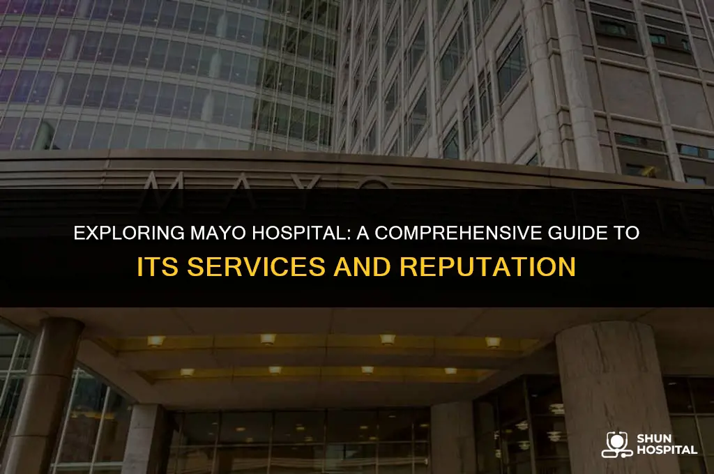 what is mayo hospital