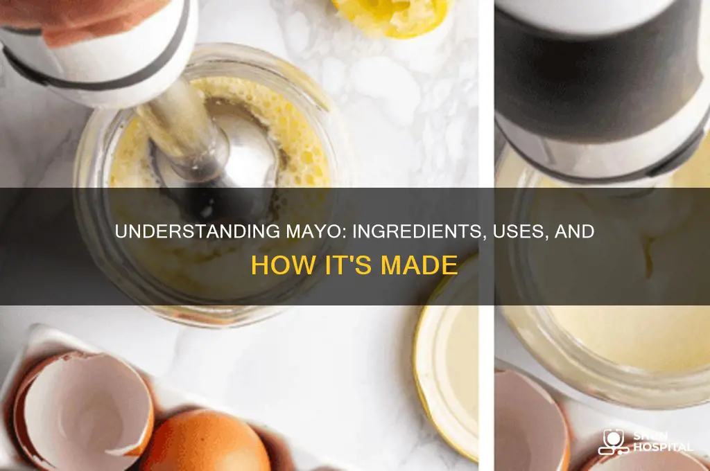 what is mayo