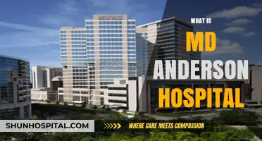 Exploring MD Anderson Hospital: A Comprehensive Overview