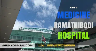 Exploring Medical Excellence: A Look Inside Ramathibodi Hospital