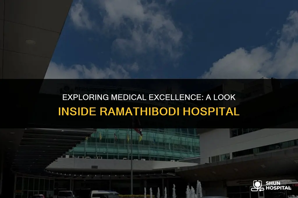 what is medicine ramathibodi hospital