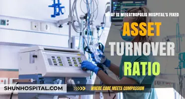 Megatropolis Hospital's Fixed Asset Turnover Ratio: Efficiency Analysis