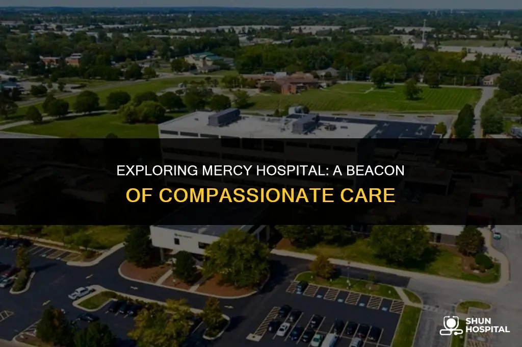what is mercy hospital