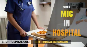 Understanding the Role of MIC in Modern Hospital Care