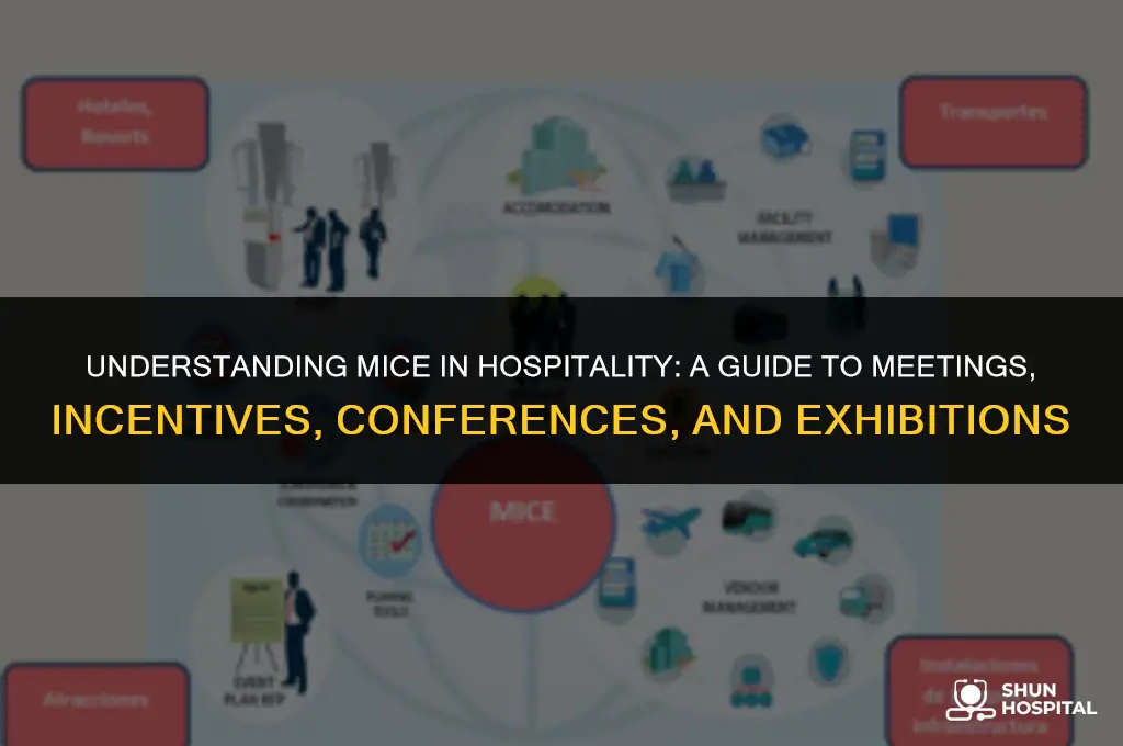 what is mice in hospitality