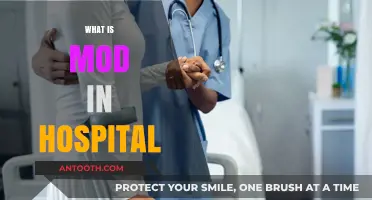 Understanding the Role of a Mod in Hospital Settings