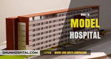 Exploring the Concept of a Model Hospital: A Comprehensive Guide