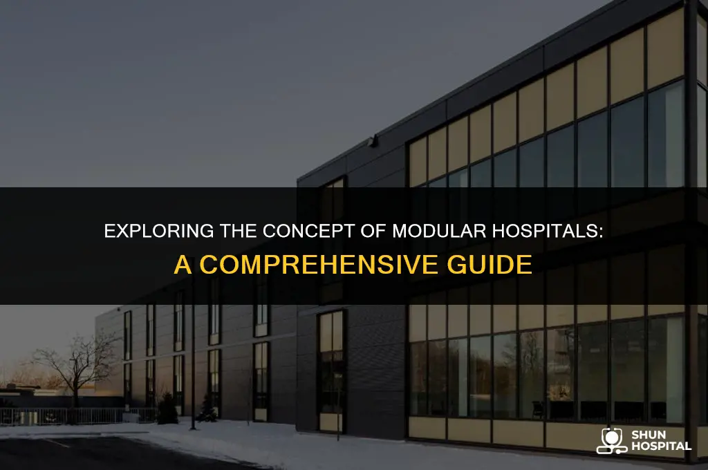 what is modular hospital