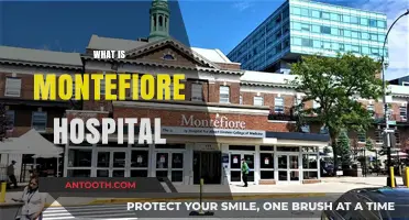 Exploring Montefiore Hospital: A Comprehensive Guide to its Services and Reputation