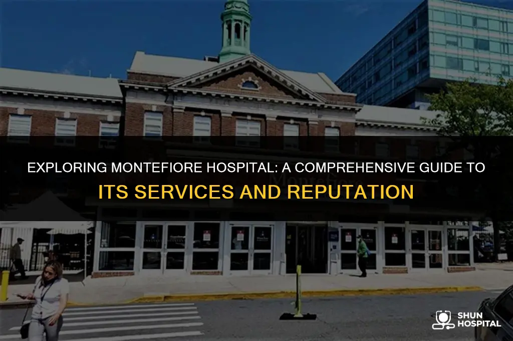 what is montefiore hospital
