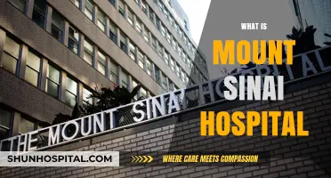 Exploring Mount Sinai Hospital: A Beacon of Healthcare Excellence