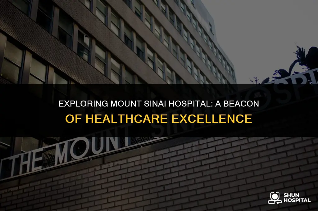 what is mount sinai hospital