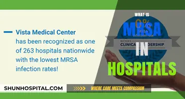 Understanding MRSA in Hospitals: A Comprehensive Guide