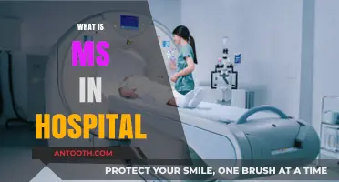 Understanding Multiple Sclerosis: A Guide for Hospital Patients