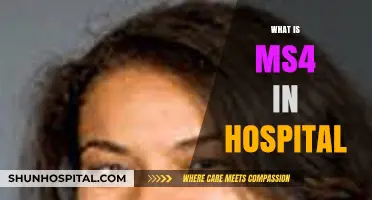 Understanding MS4: A Crucial Component in Modern Hospital Management