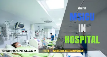 Understanding MSICU: A Comprehensive Guide to Medical-Surgical Intensive Care Units