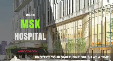 Exploring MSK Hospital: A Comprehensive Guide to Services and Expertise