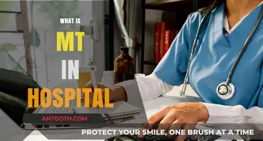 Understanding Medical Transcription (MT) in Hospital Settings: A Comprehensive Guide