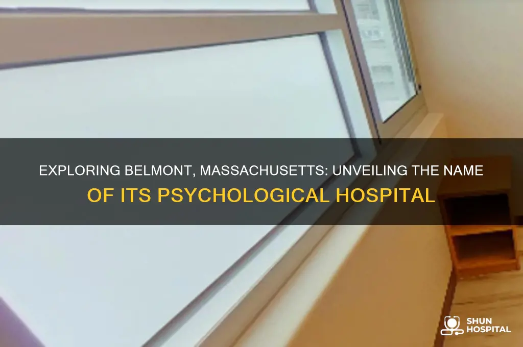 what is name of psychologic hospital in belmont mass