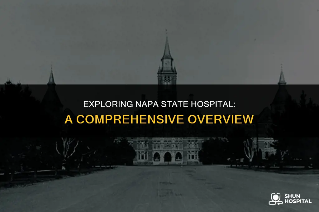 what is napa state hospital
