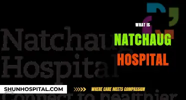 Exploring Natchaug Hospital: A Comprehensive Guide to Its Services and History
