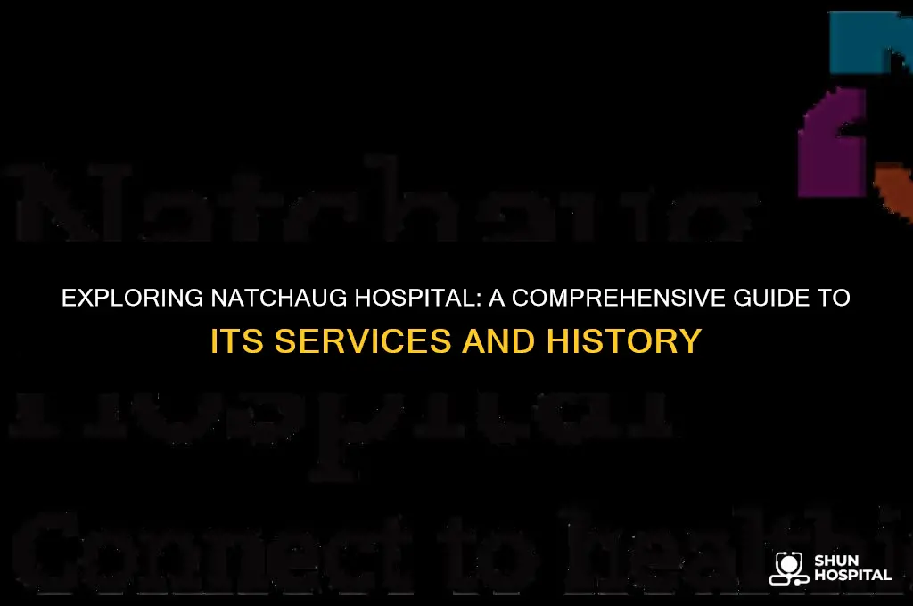 what is natchaug hospital