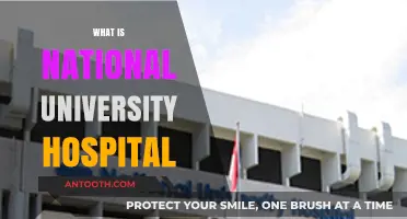 Exploring the Role and Impact of National University Hospitals