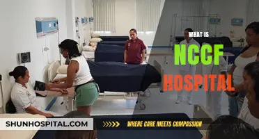 Understanding NCCF Hospital: A Comprehensive Guide to Its Services