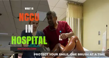 Understanding NCCU: A Comprehensive Guide to Neurocritical Care Units