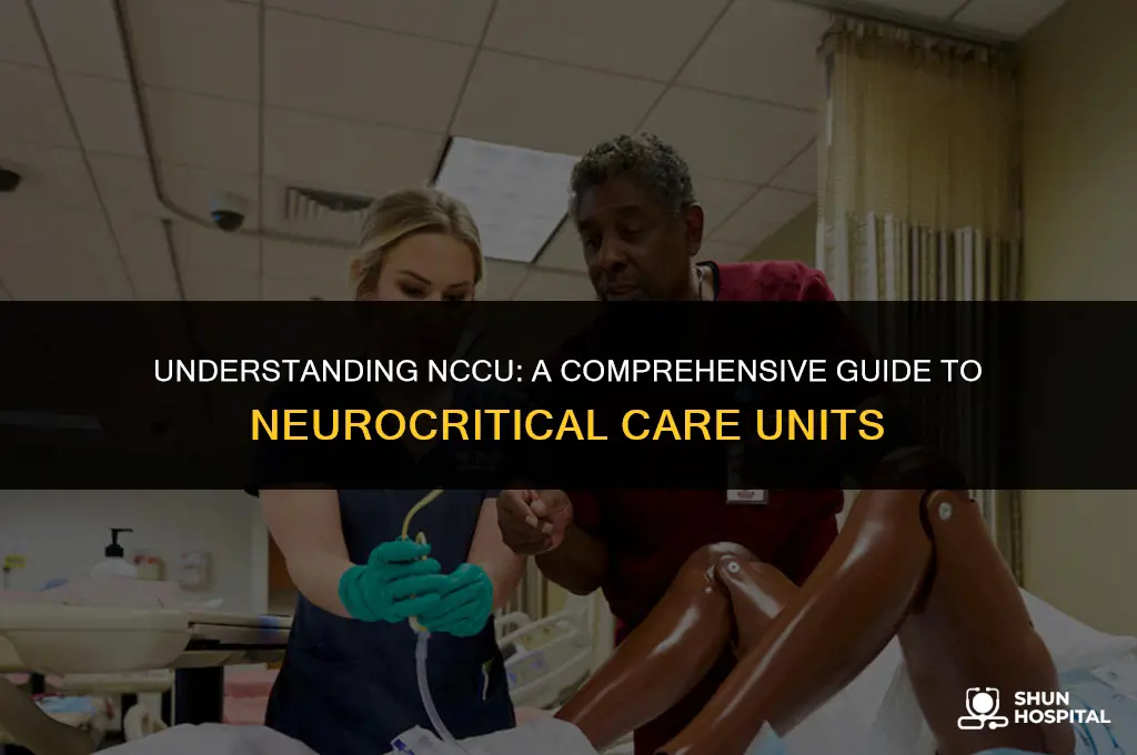 what is nccu in hospital
