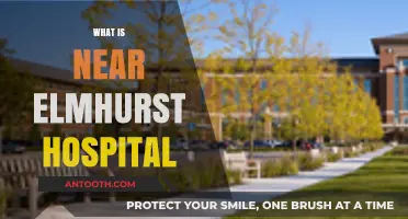 Exploring the Neighborhood: What's Near Elmhurst Hospital?