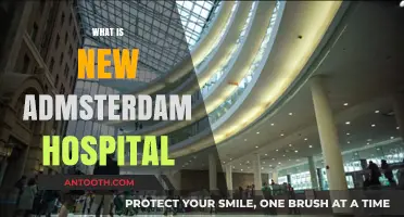 Exploring the Cutting-Edge Facilities at New Amsterdam Hospital
