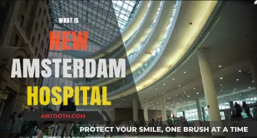 Exploring the Cutting-Edge Facilities at New Amsterdam Hospital