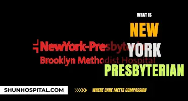 Exploring New York Presbyterian: History, Services, and Healthcare Excellence